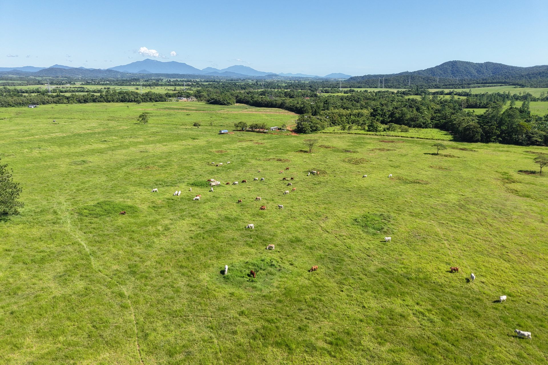 103 Acre Rural Holding With Water Licence